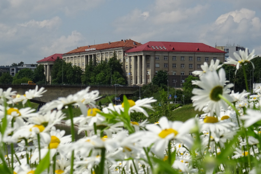 Kaip atrodo gestų kalbos vertėjų darbo užkulisiai? 