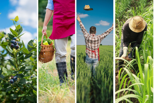 Narteikiai: profesijos, augančios kartu su gamta