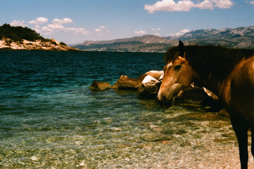 KTU parodoje – studento sugrįžimas į tėvo gimtinę Kroatijos saloje