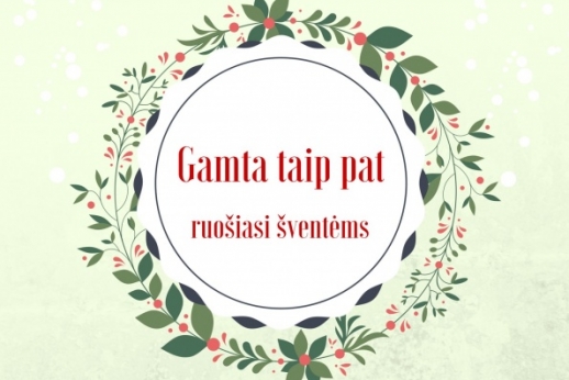 Gamta taip pat ruošiasi šventėms