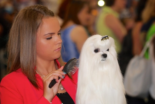 Studentė rado būdą, kaip bendrauti su keturkojais Studentė rado būdą, kaip bendrauti su keturkojais